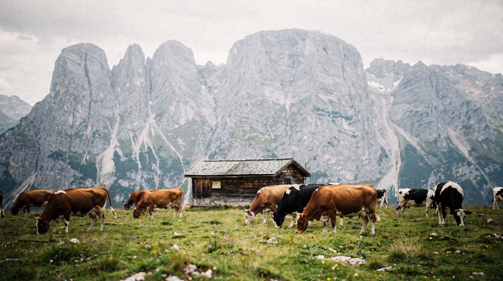 The Wilder Kaiser: The Limestone Massif East of Innsbruck