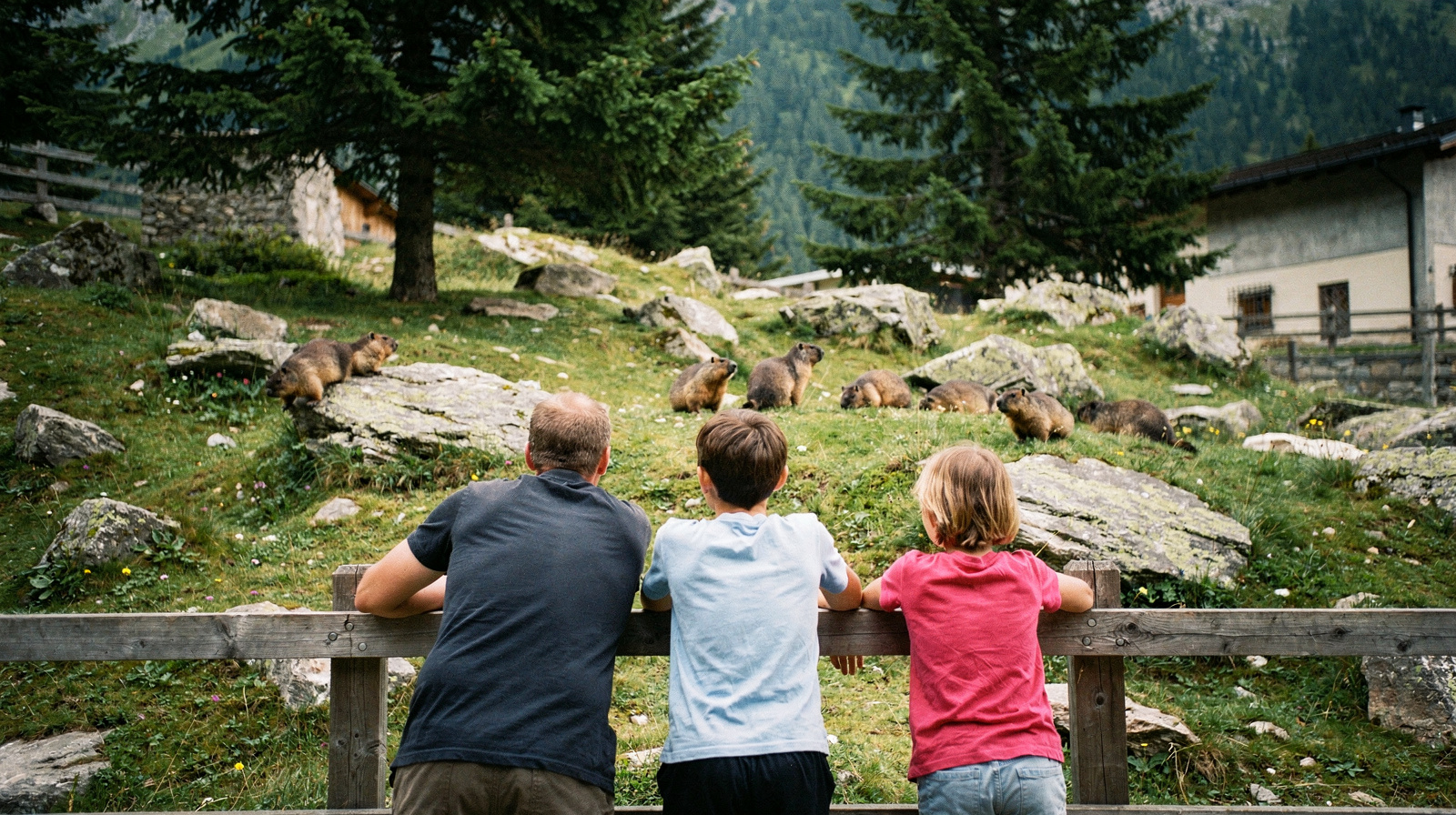 Visiting the Alpenzoo with Kids